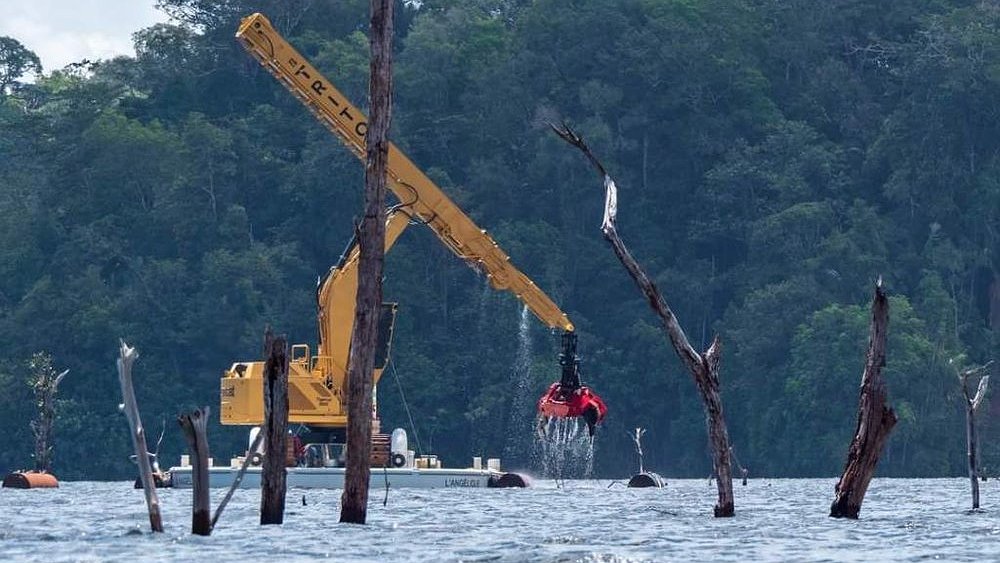 Illustration l'entreprise Triton peu regardante avec la biodiversité